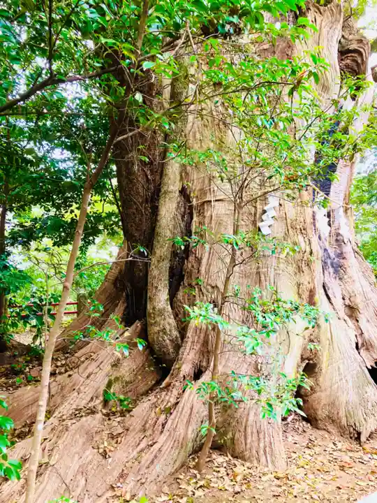 神崎神社(千葉県)