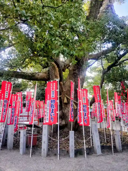 楠珺社(住吉大社末社)(大阪府)
