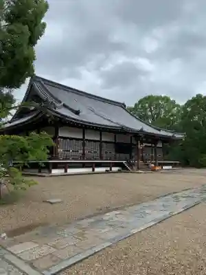 仁和寺の本殿・本堂