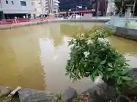 天津神社の庭園