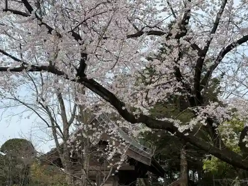 中院の{uncategorized: "未分類", other: "その他", undefined: "問題あり", building: "その他建物", grave: "お墓", sacred_gate: "鳥居", guardian: "狛犬", statue: "像", buddha: "仏像", history: "歴史", nature: "自然", garden: "庭園", animal: "動物", pagoda: "塔", temizu: "手水舎", mountain_gate: "山門・神門", sanctuary: "本殿・本堂", subordinate: "末社・摂社", art: "芸術", scenery: "景色", jizo: "地蔵", ema: "絵馬", goshuin: "御朱印", omikuji: "おみくじ", items: "授与品その他", amulet: "お守り", goshuincho: "御朱印帳", eats: "食事", festival: "お祭り", votive_dance: "神楽", shichigosan: "七五三参", wedding: "結婚式", experience: "体験その他", initially: "初詣", around: "周辺", anti_infection: "感染症対策"}