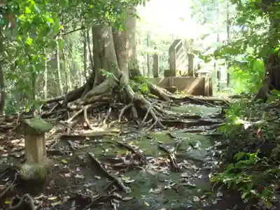 姉埼神社の自然