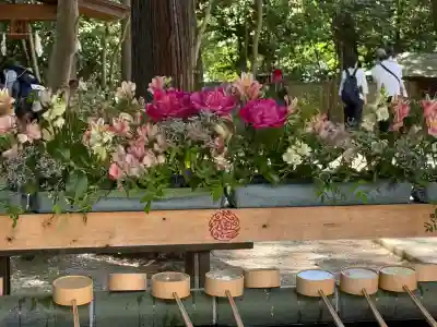 武蔵一宮氷川神社(埼玉県)