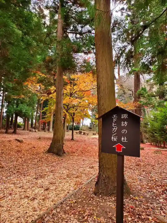 神炊館神社 ⁂奥州須賀川総鎮守⁂(福島県)