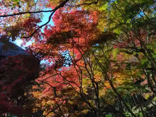 長壽寺（長寿寺）(神奈川県)