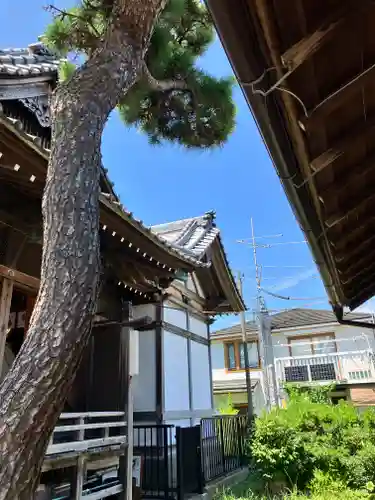 太田神社(東京都)