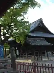 斑鳩寺の本殿