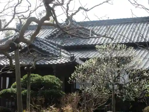 極楽寺（霊鷲山感應院極楽律寺）のその他建物
