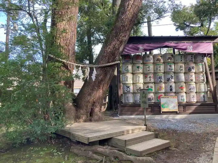 武蔵一宮氷川神社(埼玉県)