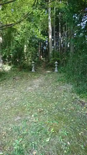 新山観音堂の自然