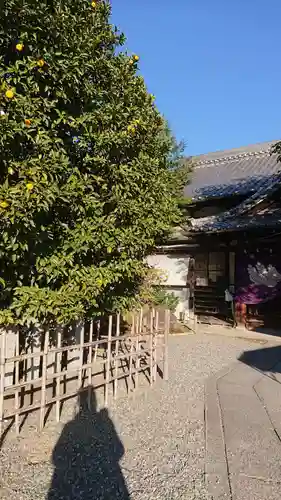 城山八幡宮のその他建物