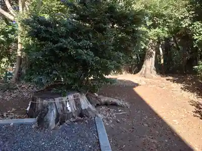 下溝八幡宮(神奈川県)