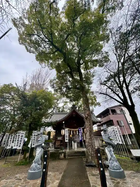 白金龍王社(愛知県)