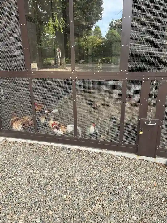 岩槻久伊豆神社(埼玉県)