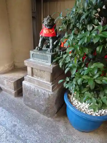 錦天満宮の狛犬