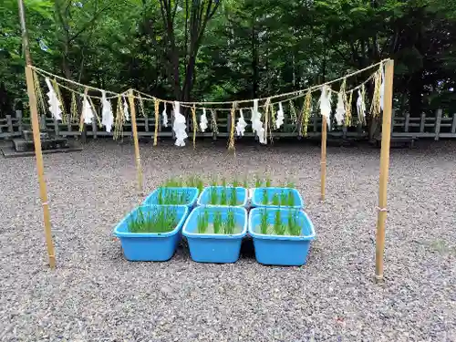 上川神社の庭園