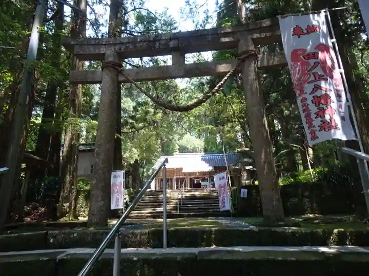 田ノ上八幡神社(宮崎県)