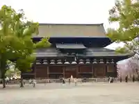 東寺(教王護国寺)の本殿・本堂
