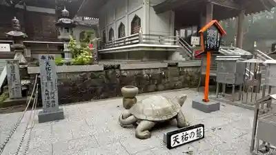 雲辺寺(徳島県)