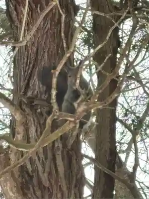 由仁神社(北海道)