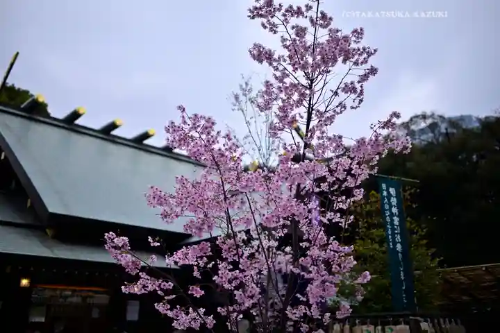 東京大神宮(東京都)