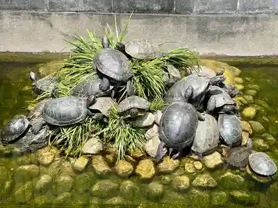 嚴島神社(千葉県)