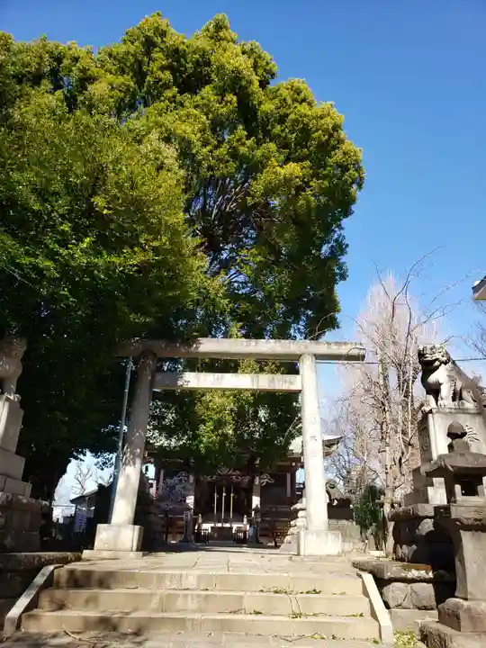 諏訪神社(東京都)