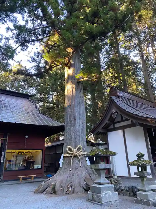 北口本宮冨士浅間神社の自然