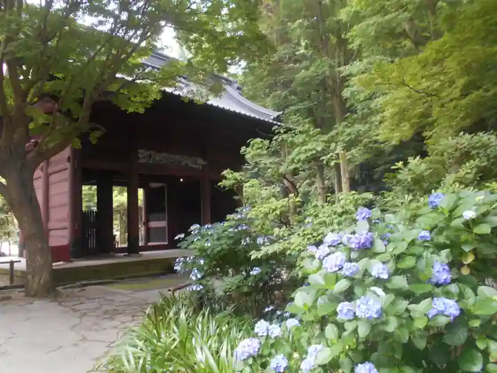 妙本寺の山門・神門