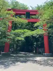 冠稲荷神社の鳥居