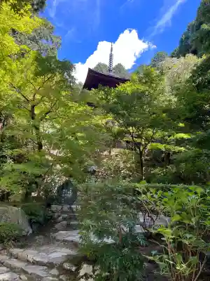 金剛輪寺(滋賀県)