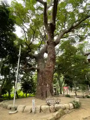日野神社の自然