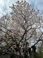 検見川神社の自然