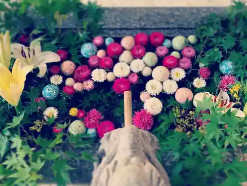 滑川神社 - 仕事と子どもの守り神の手水