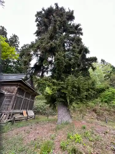西明寺(山形県)