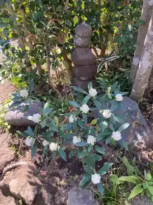 光照寺(神奈川県)