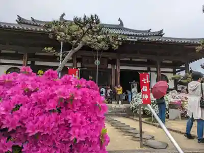 法雲寺(大阪府)