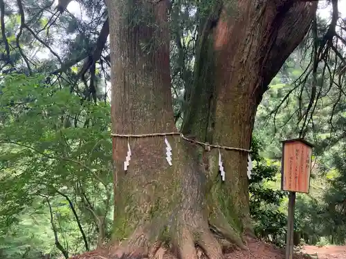 大山阿夫利神社本社(神奈川県)