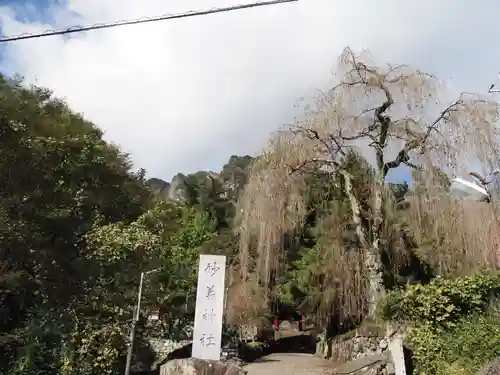 妙義神社の景色