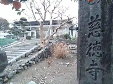 慈徳寺(静岡県)