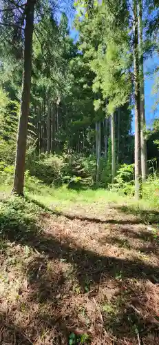 青森神社(宮城県)