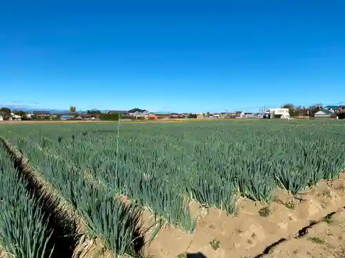 白髪神社の周辺
