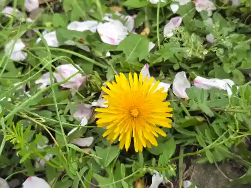 押部谷住吉神社(兵庫県)