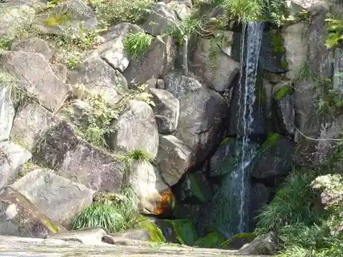 妙蓮寺の庭園