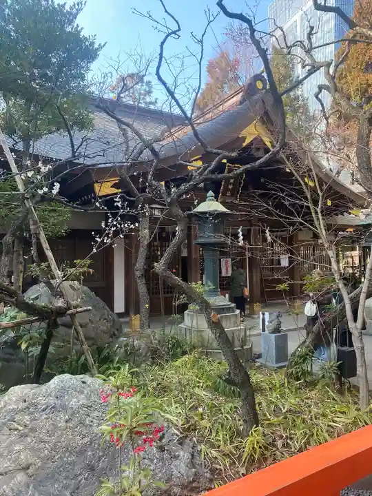 愛宕神社の自然