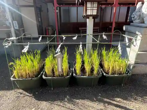 前川神社(埼玉県)