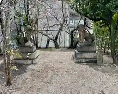 堀越神社(大阪府)