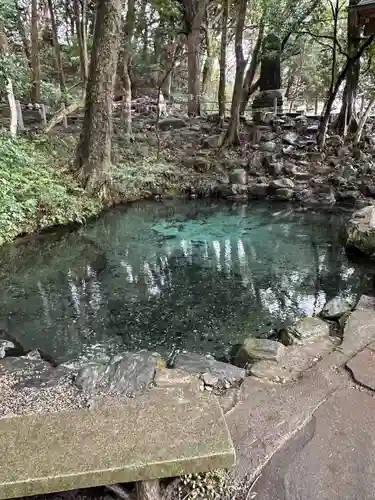 泉神社(茨城県)