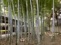 乗泉寺の{uncategorized: "未分類", other: "その他", undefined: "問題あり", building: "その他建物", grave: "お墓", sacred_gate: "鳥居", guardian: "狛犬", statue: "像", buddha: "仏像", history: "歴史", nature: "自然", garden: "庭園", animal: "動物", pagoda: "塔", temizu: "手水舎", mountain_gate: "山門・神門", sanctuary: "本殿・本堂", subordinate: "末社・摂社", art: "芸術", scenery: "景色", jizo: "地蔵", ema: "絵馬", goshuin: "御朱印", omikuji: "おみくじ", items: "授与品その他", amulet: "お守り", goshuincho: "御朱印帳", eats: "食事", festival: "お祭り", votive_dance: "神楽", shichigosan: "七五三参", wedding: "結婚式", experience: "体験その他", initially: "初詣", around: "周辺", anti_infection: "感染症対策"}