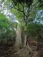 大山阿夫利神社本社(神奈川県)